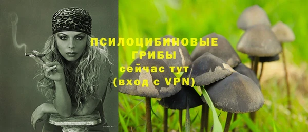 прущий лед Алексеевка