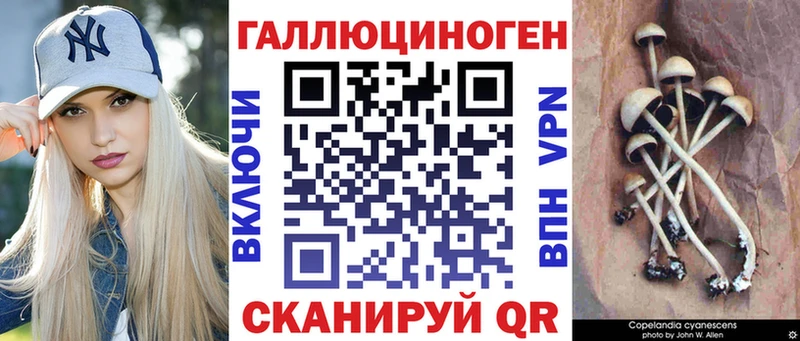 KRAKEN   Одинцово  Галлюциногенные грибы Magic Shrooms 