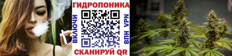 Марихуана Amnesia купить сайты Одинцово